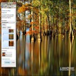 Autumn Colors Windows 7 Theme