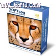 XOFTspy Portable Anti-Spyware