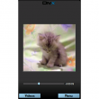 DivX Mobile Player (S60 5rd Edition)