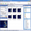 ACDSee 10 Photo Manager