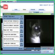 NetVideoHunter Video Downloader