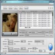 WinX Free DVD to DivX Ripper