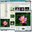 Portable FastStone Image Viewer