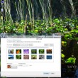 Bing Earth Day Windows 7 Theme