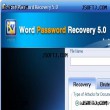 Word Password Recovery